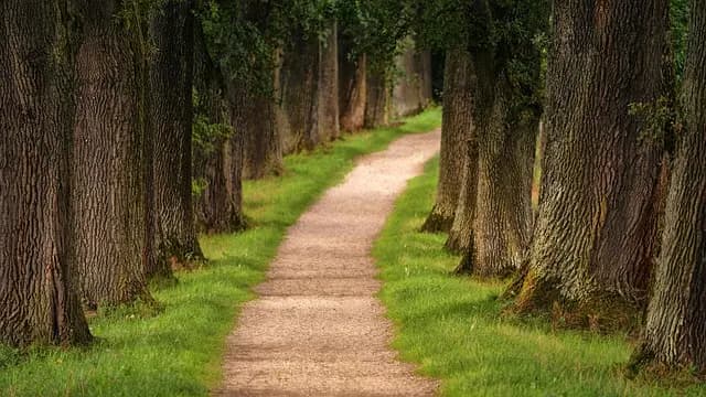 Les meilleures randonnées à faire en France pour s'évader