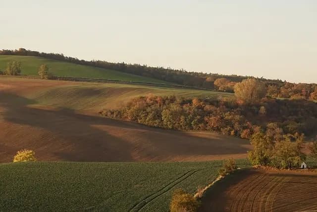 Les meilleures astuces pour réussir votre escapade à la campagne