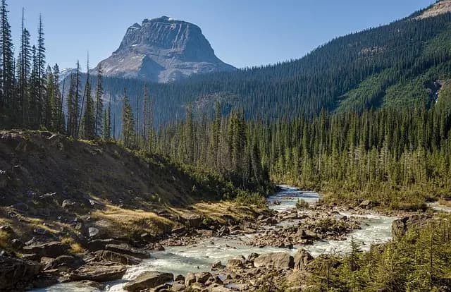 Les meilleures échappées vivifiantes pour une weekend en pleine nature