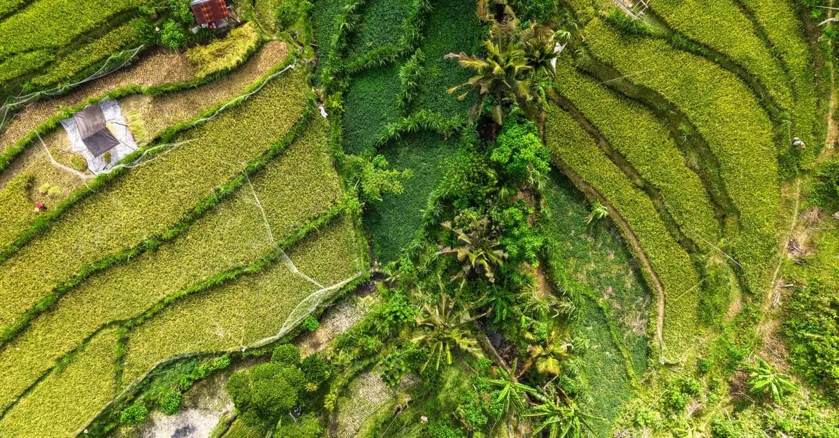 Les meilleures astuces pour des escapades écoresponsables
