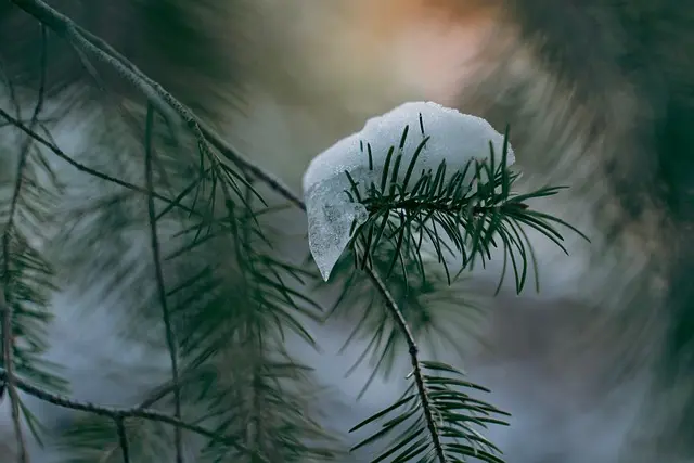 Les incontournables pour une escapade d'hiver en pleine nature