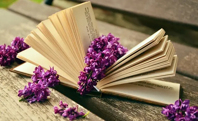 Top 10 des magazines d'escapades à lire pour être inspiré