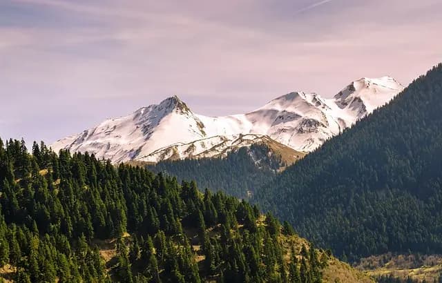 Les escapades écoresponsables : Explorez autrement
