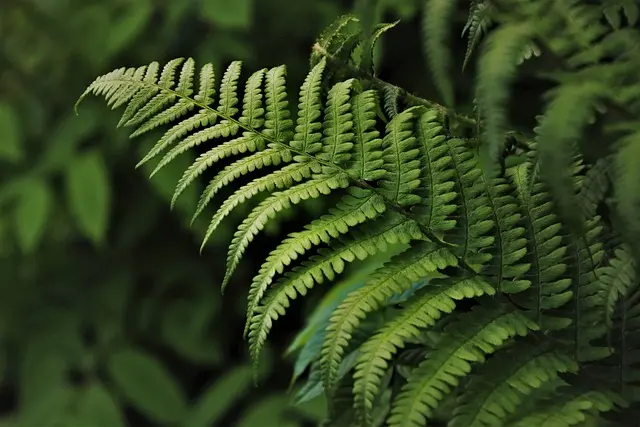 Les escapades nature : 7 conseils pour se ressourcer