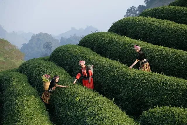Les meilleures astuces pour un magazine d'escapades captivant