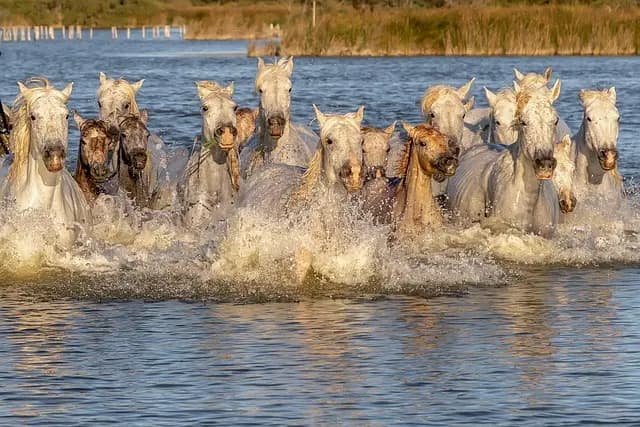 Les meilleures destinations d'escapade en bord de mer