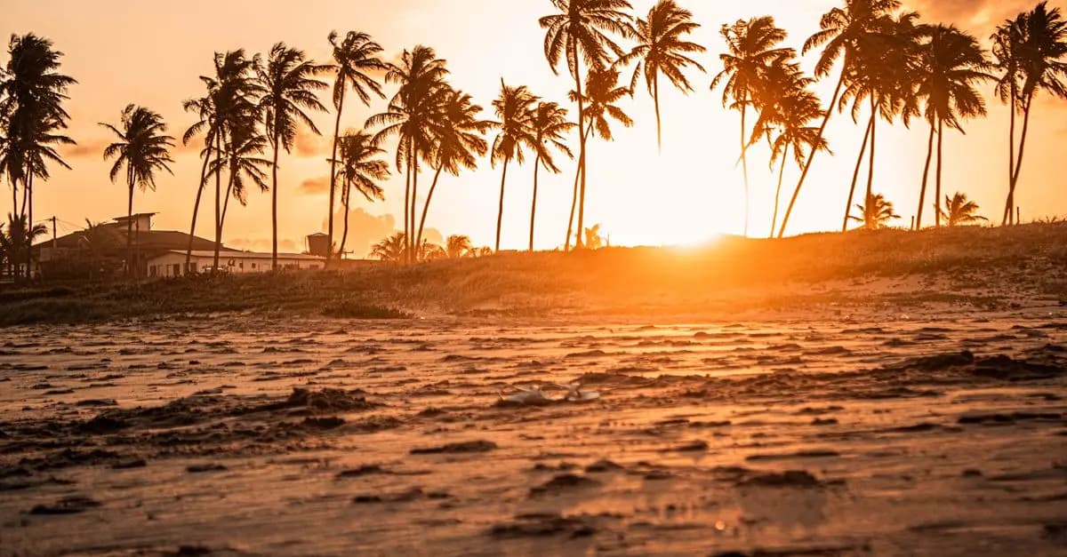 Les meilleures astuces pour une escapade en bord de mer réussie