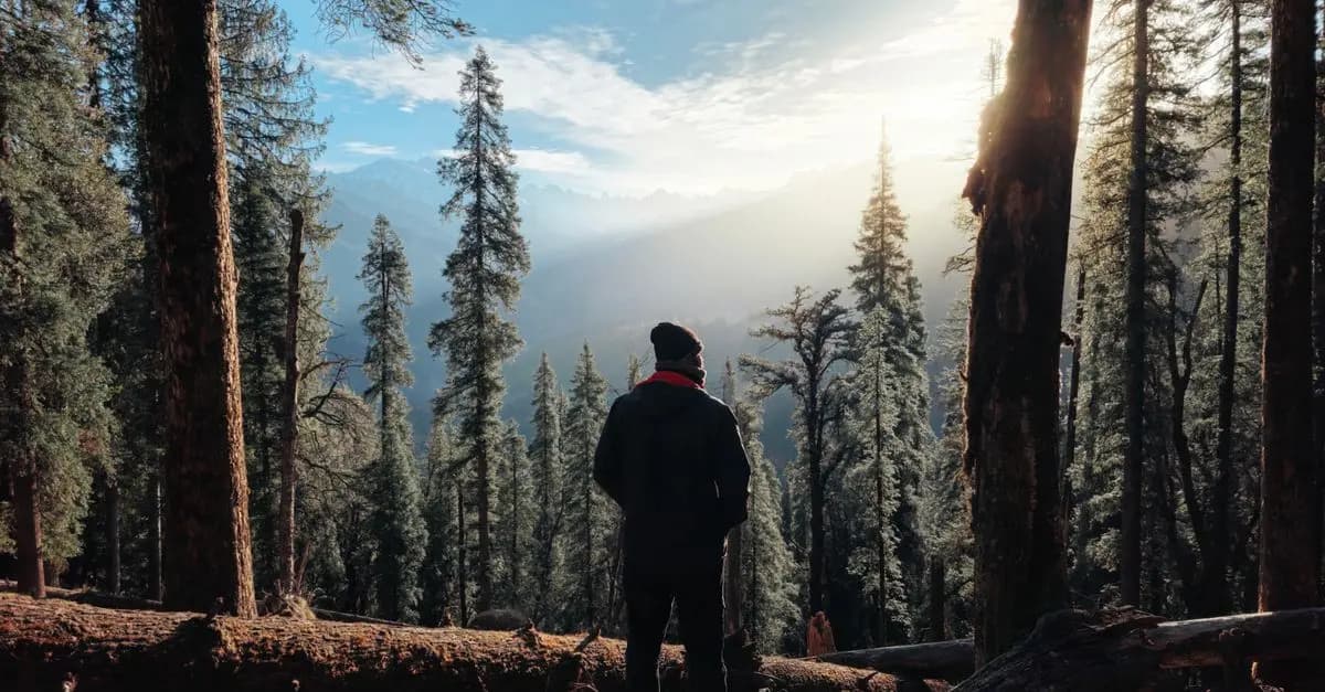 10 idées d'escapades magiques pour se reconnecter à la nature
