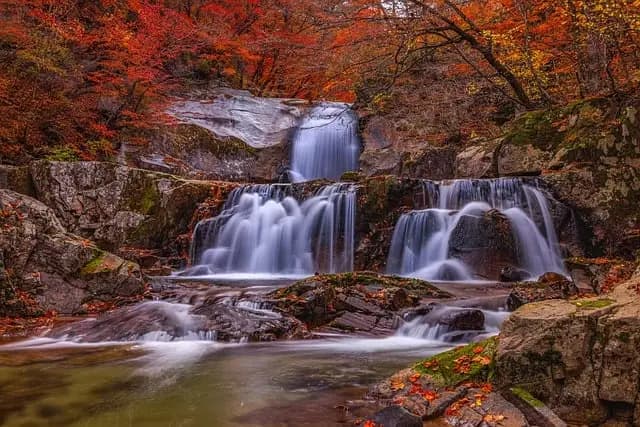 Les meilleures astuces pour une escapade en plein air réussie